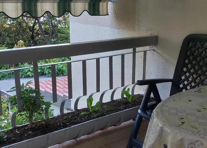 Apartman Buga